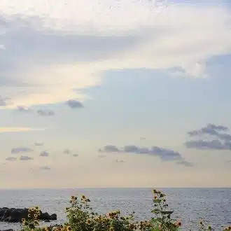 hima_sun44