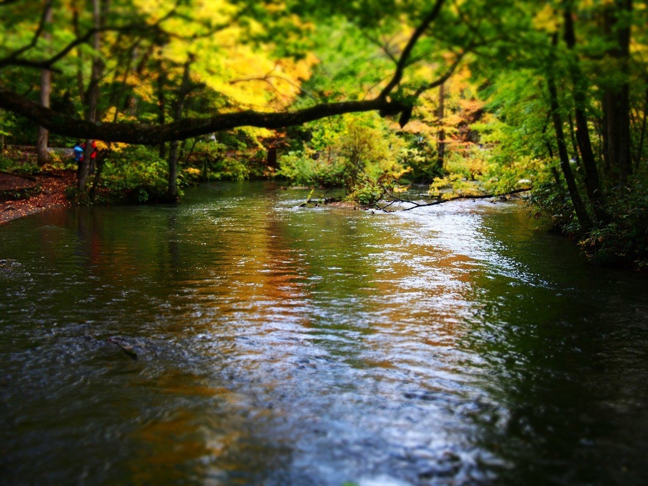 青森、紅葉の旅（5）～奥入瀬渓流と十和田湖～｜すぴー