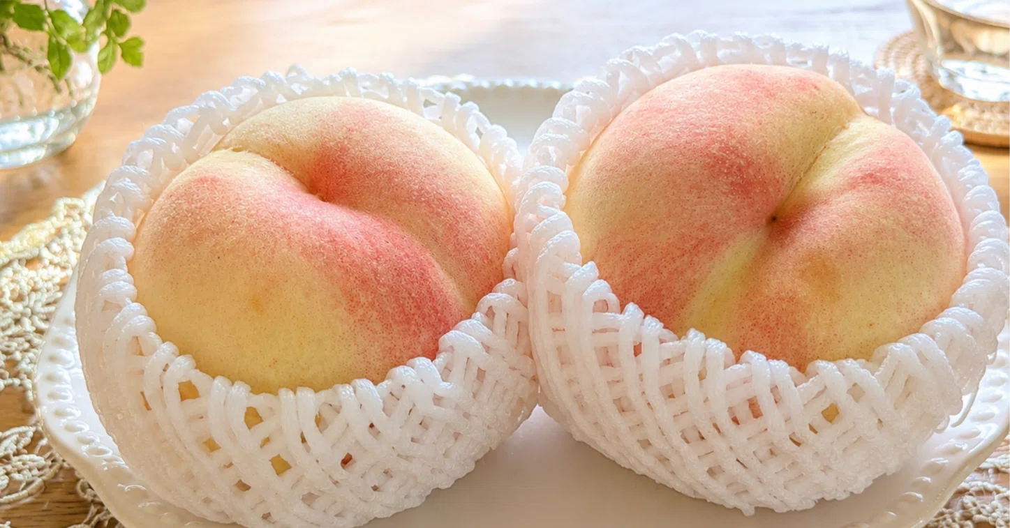 岡山産清水白桃🍑 今年は収穫が早かった！〜季節のものは、やっぱりご