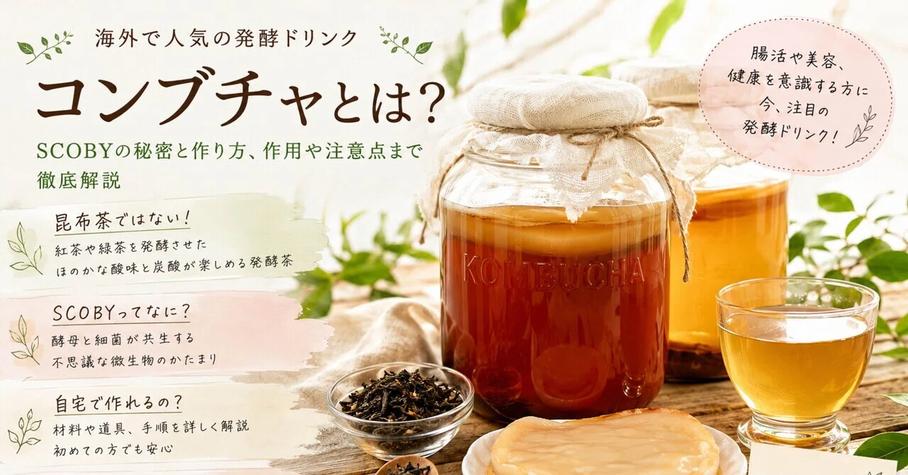 コンブチャ と は