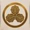Ryu Sensei | Translator · Author · Language Coach 