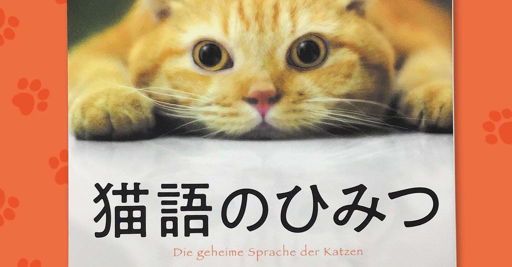我々が話しかければかけるほど 猫たちはおしゃべりになる ハーパーコリンズ ジャパン Note