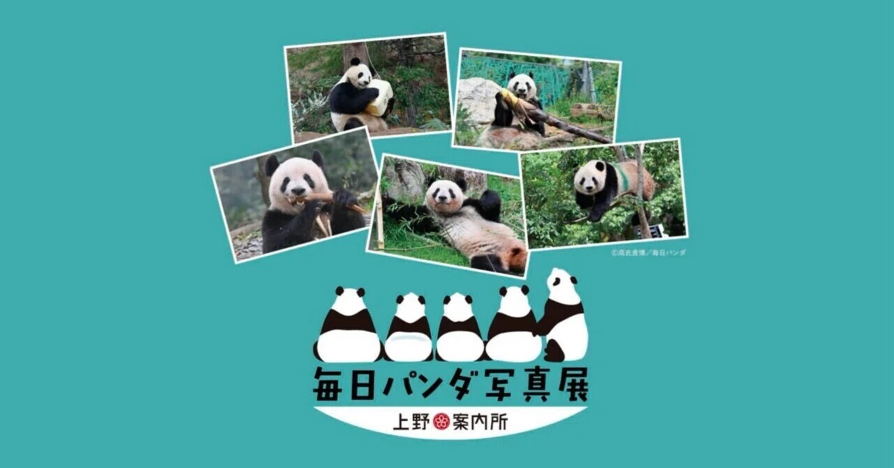 7/29〜8/11「毎日パンダ×上野案内所」上野パンダファミリー写真展開催