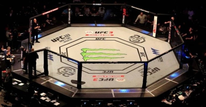 ちっちゃい子でもわかる総合格闘技 ベッシー note