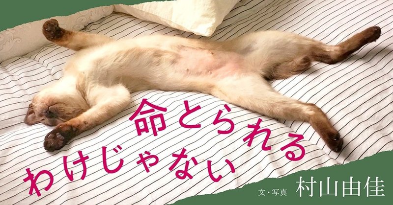 切れない糸 村山由佳 第41話 Hb ホーム社文芸図書webサイト