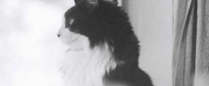 ロト６ 実際に２等高額当選したときの買い方を思い出してみる ノマド猫 Note