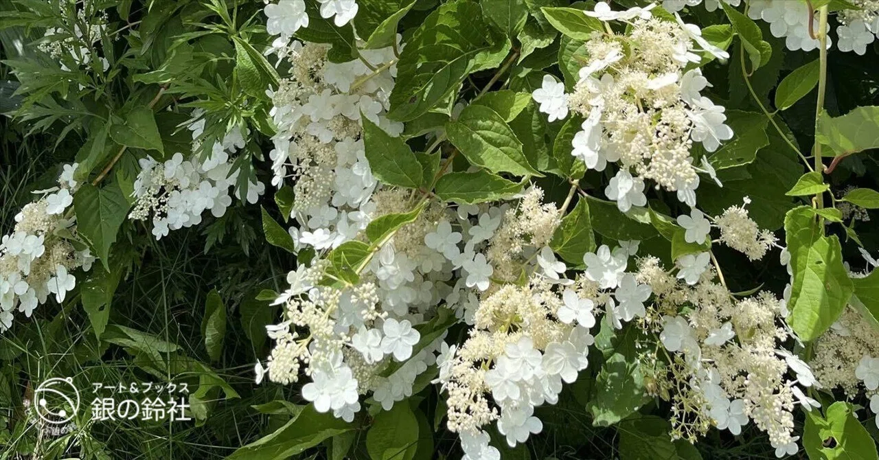 銀の鈴社　一人だけひと足早い夏休み　野の花ツアーの延長で