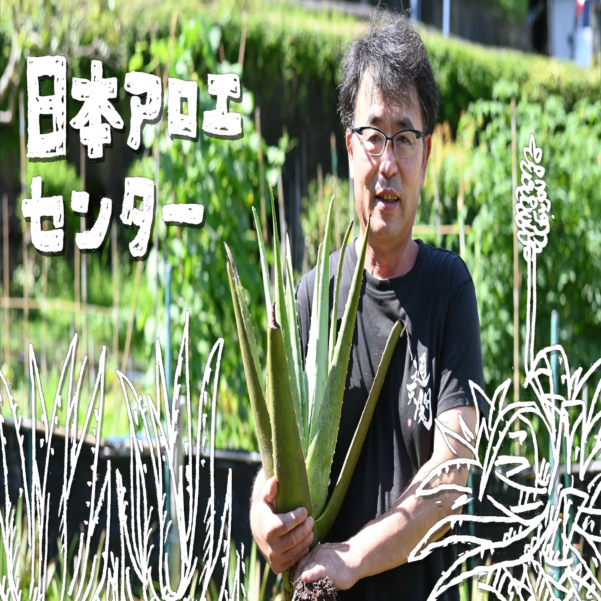 日本 と名の付くアロエセンター With Shimoda Note
