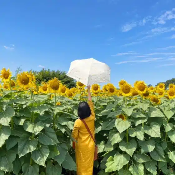 まんまるまる