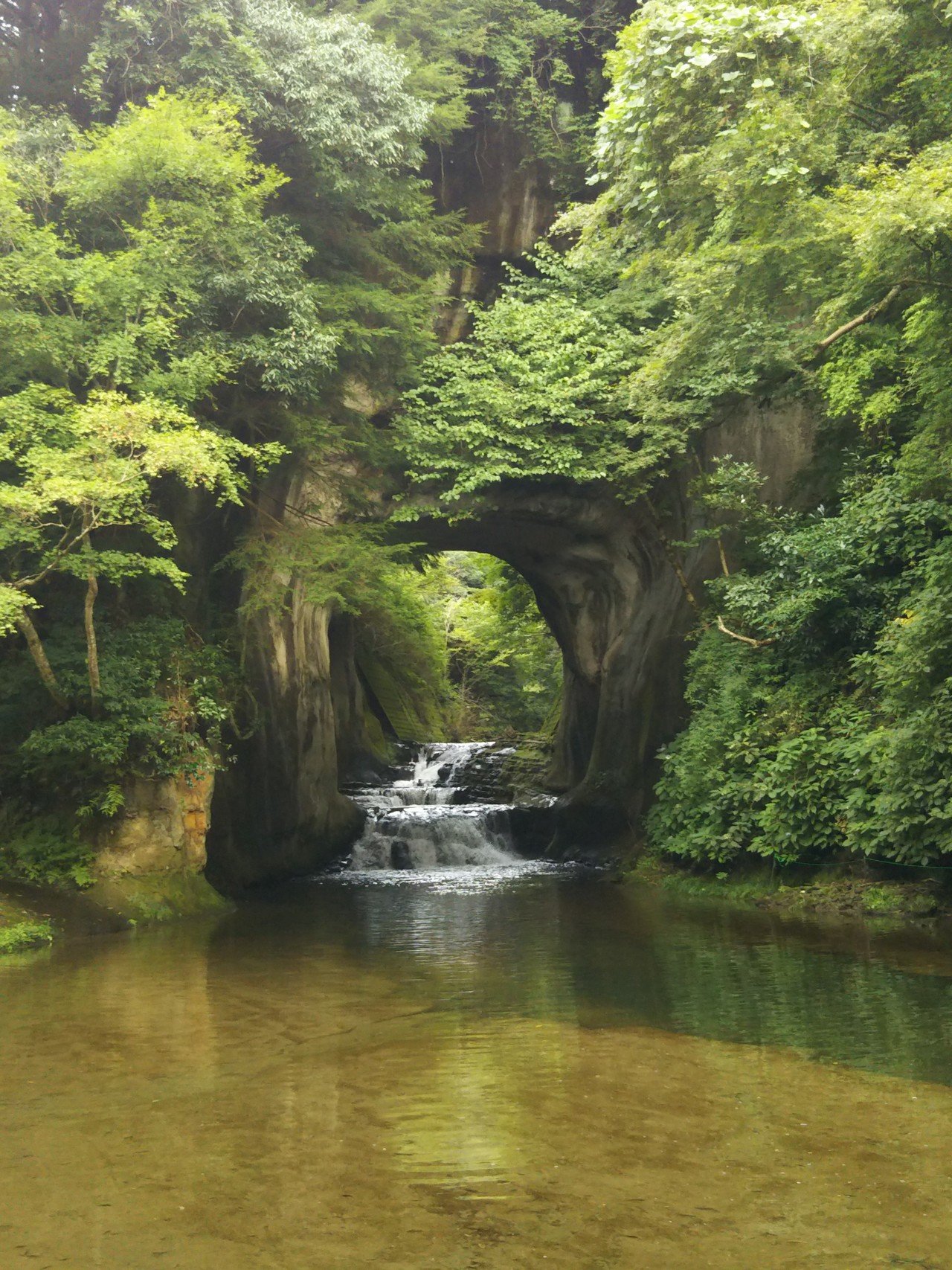 亀岩の洞窟と濃溝の滝 のぎのき Note