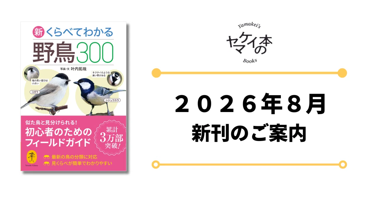 花鳥冊頁3 新刊のご案内【2026年8月発売】『ヤマケイ文庫 新 くらべてわかる野鳥