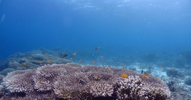 お洒落なカフェでの大失態 久々の帰国休暇で 後輩の前で恥ずかしい思いを えみちゃんぱんまん Note