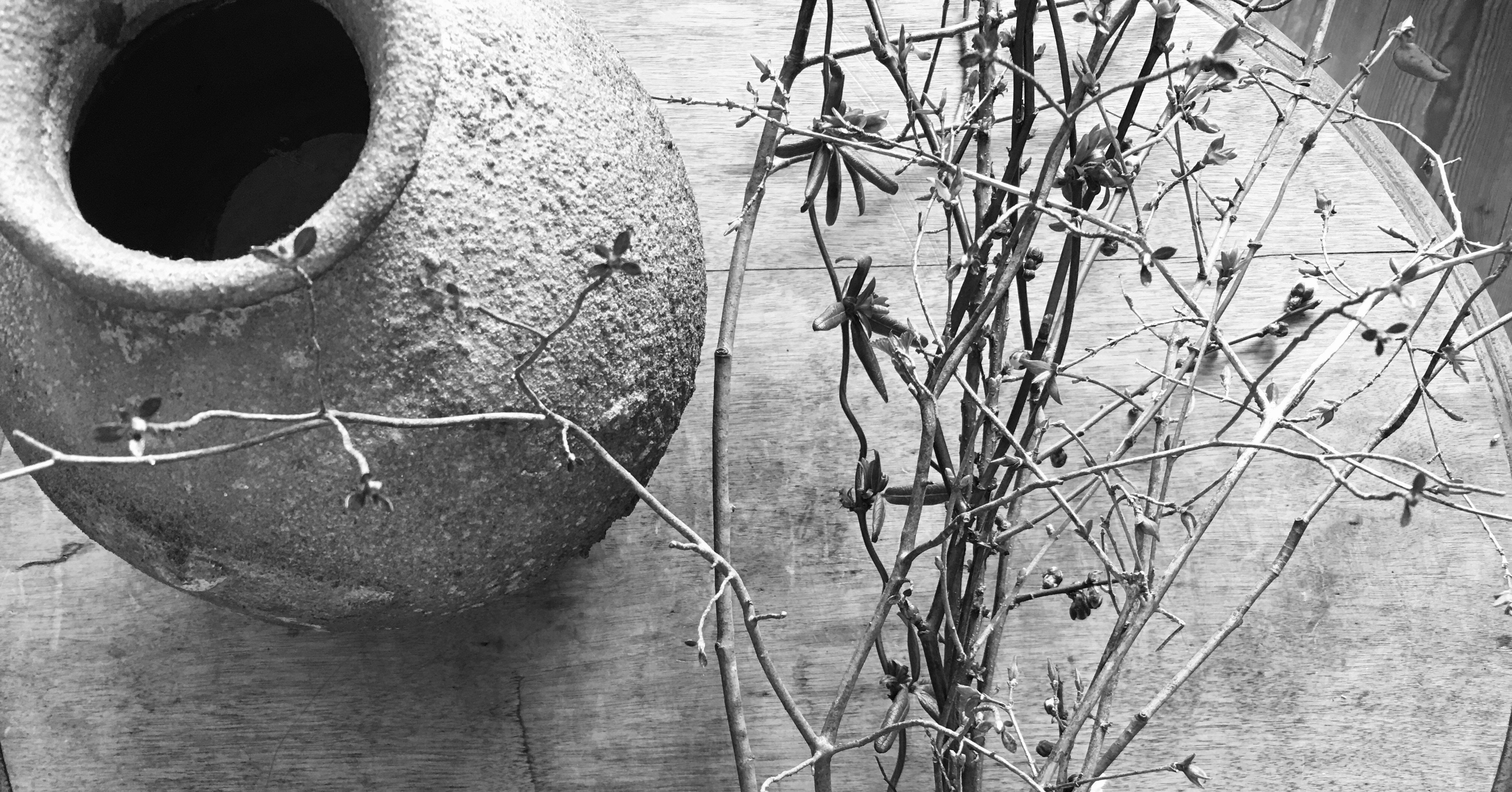 純度の高い恋は地に落ちて いっそう輝く 千花物語 Note