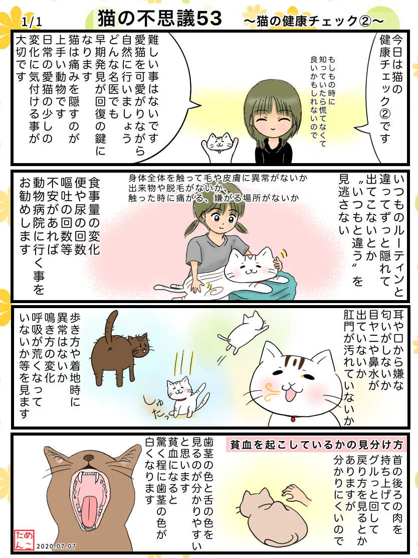 猫の不思議53 猫の健康チェック めこたん 漫画 イラスト Note 猫の不思議53 猫の健康チェック めこたん 漫画 イラスト Note