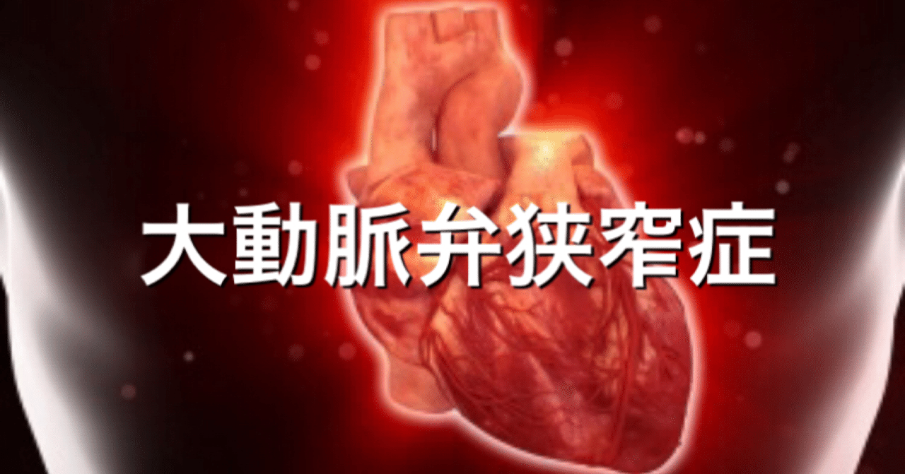 循環器疾患編 大動脈弁狭窄症 紹介ver 11mets Note