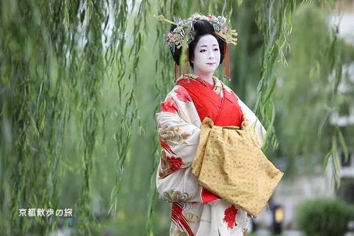 画像7