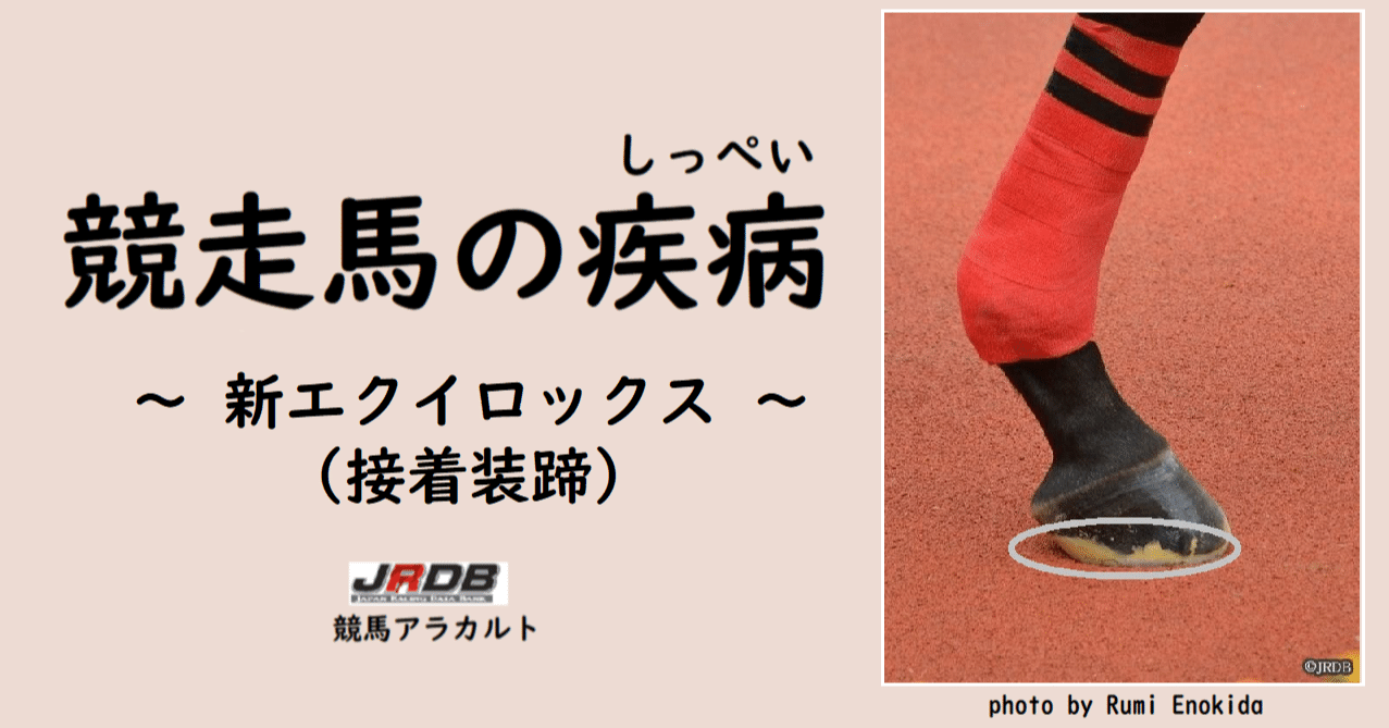 競走馬の疾病 ～新エクイロックス（接着装蹄）～｜JRDB 競馬