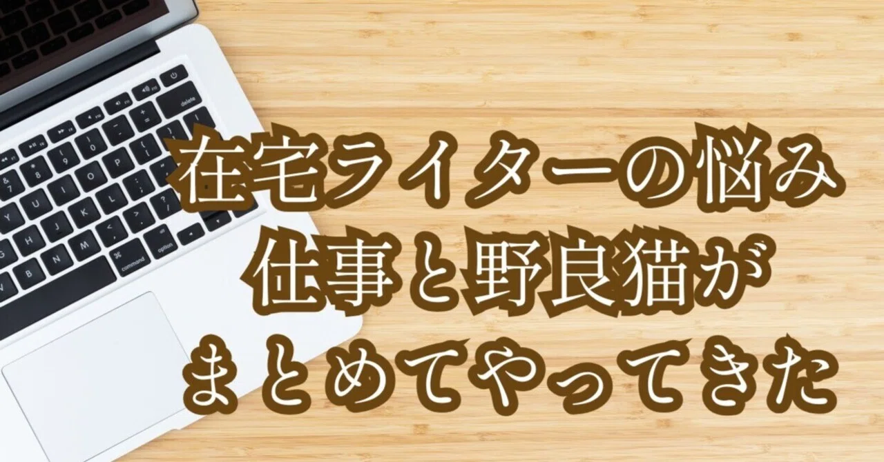 見出し画像
