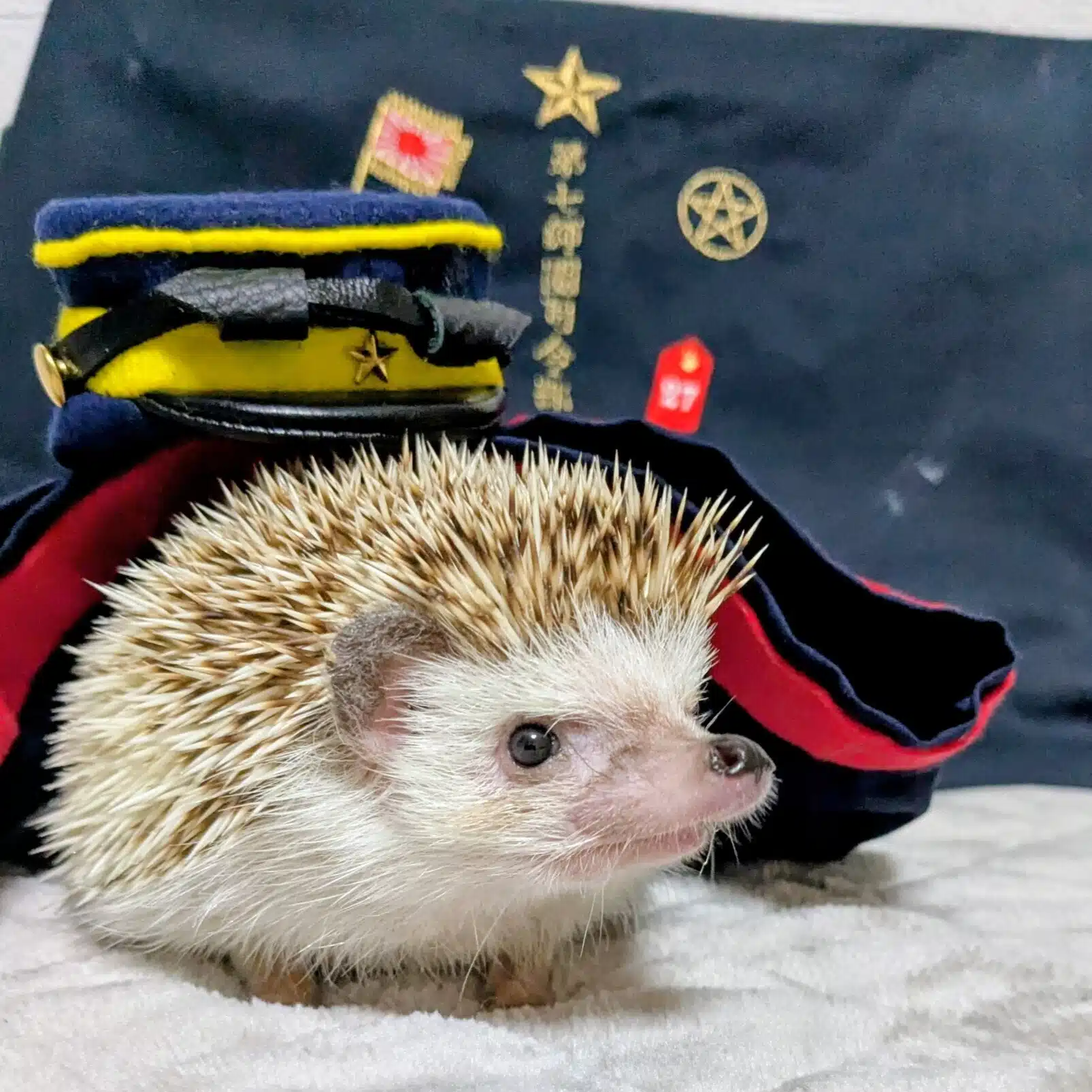 和さん
