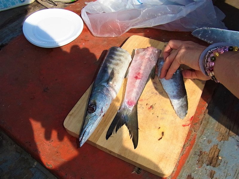 タイでも釣りを楽しみたい 在住歴年が話したい本当のタイと見てきたこととうまい話と Note タイでも釣りを楽しみたい 在住歴年が話したい本当のタイと見てきたこととうまい話と Note