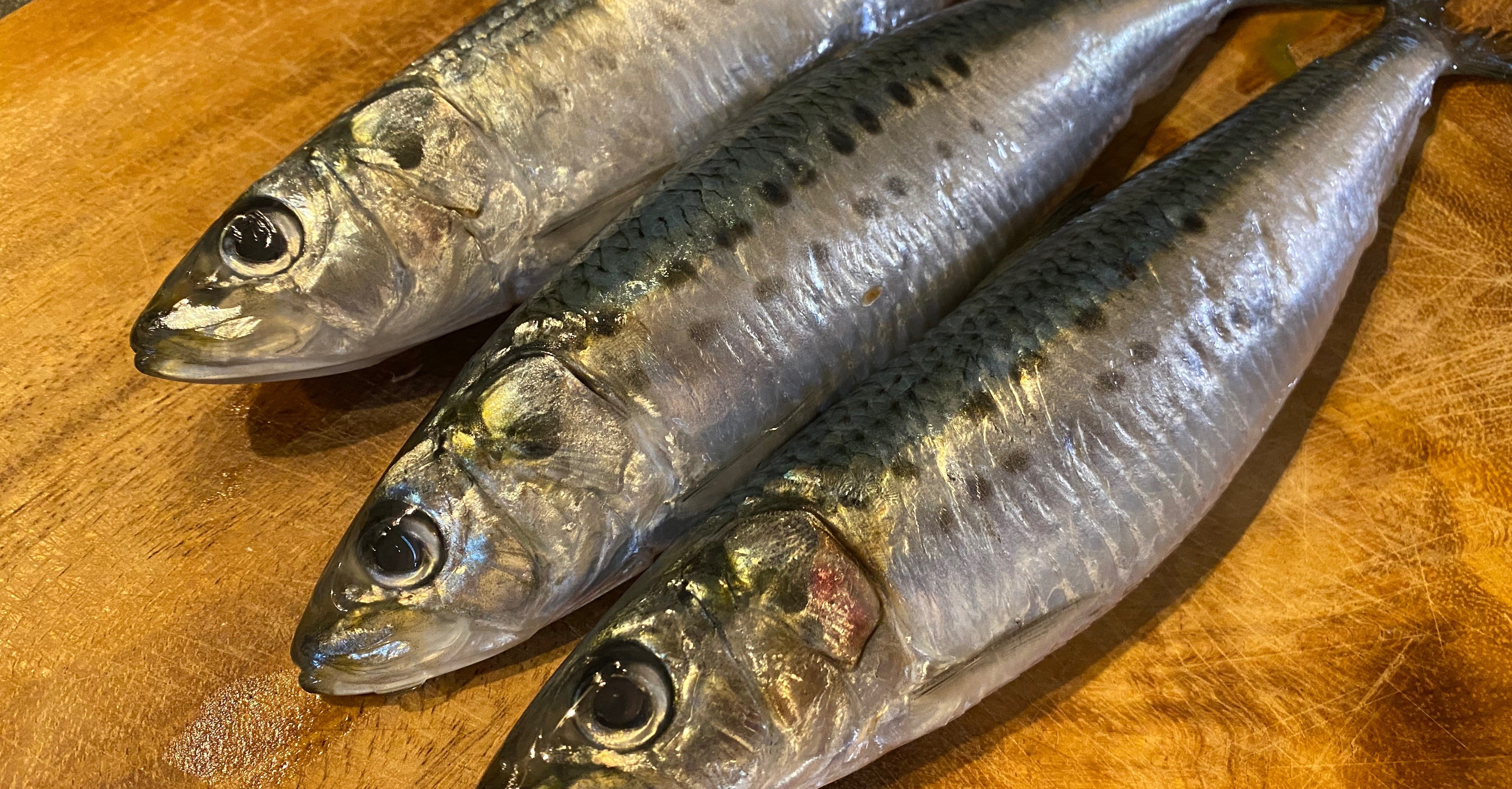 マイワシのパリパリ揚げ Noriaki Kawanishi 半農デザイナー Note