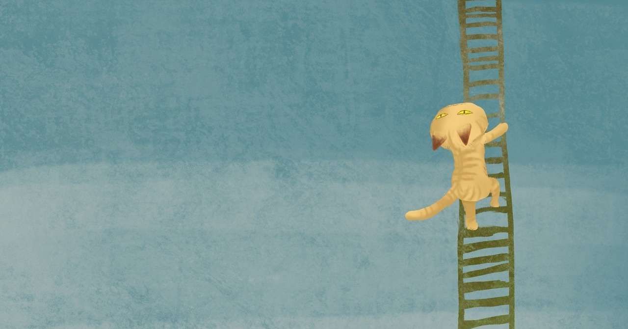 目白学園女子短期大学 の新着タグ記事一覧 Note つくる つながる とどける