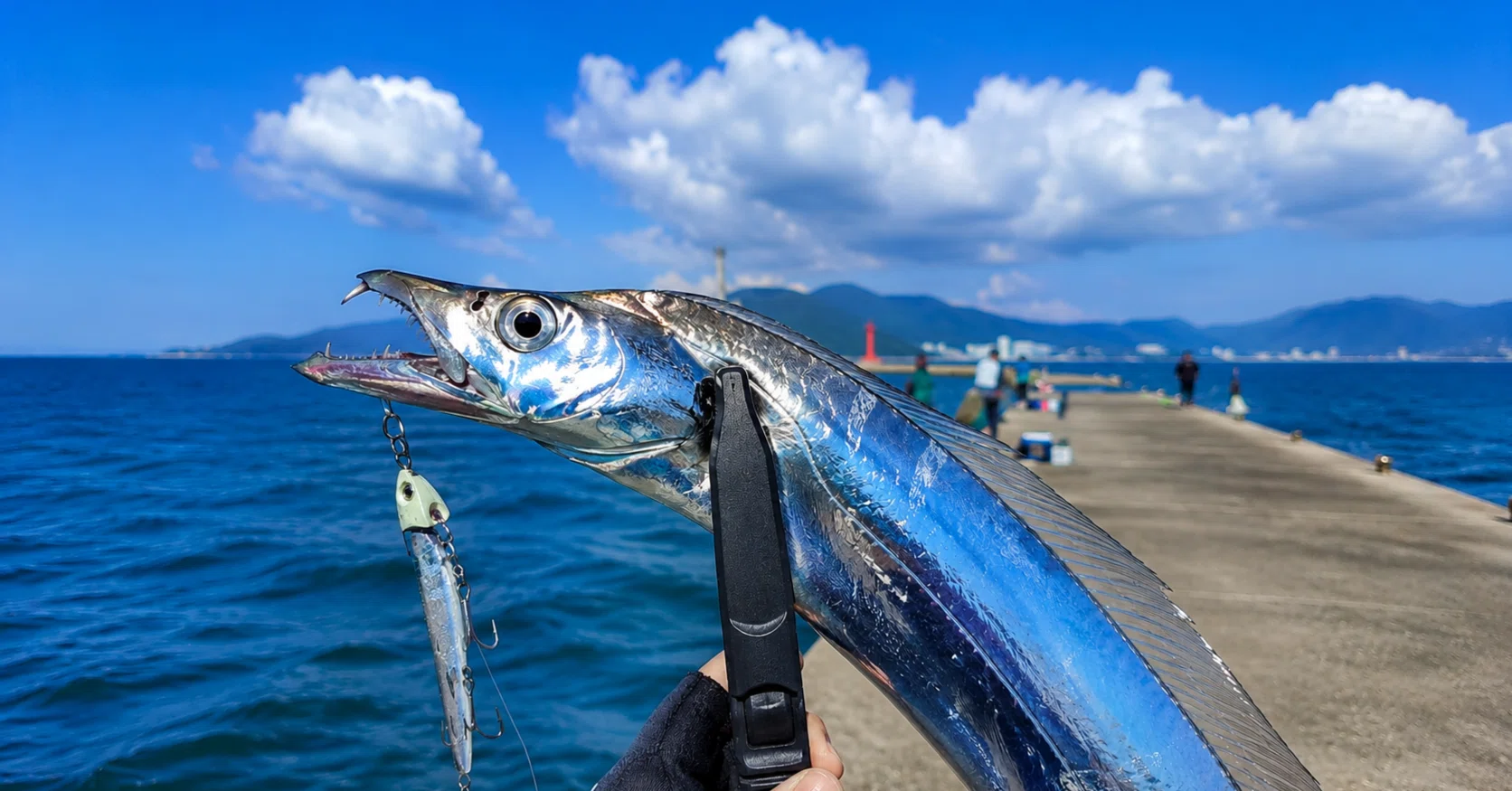 5 Recommended Rigs for Beginners Starting Jetty Cutlassfish