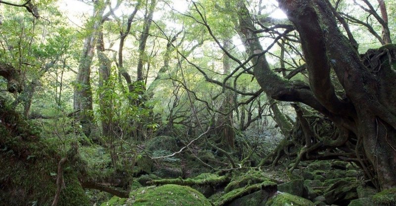 自然と人間の関係について 吉村ジョナサン Note