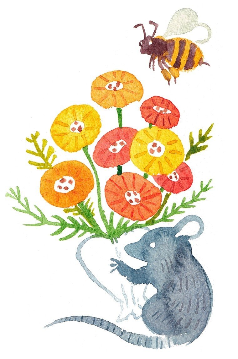 フリーイラスト素材 お花と植物 こまちみゆた Note