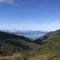でがらし茶