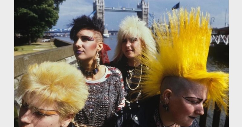 サブカルチャーとしてのパンク Punk サブカルチャーとしてのパンク Punk