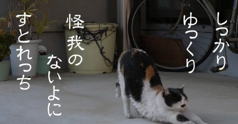 これって法的リスクありますか という質問 ビジネス法務のt田さん Note