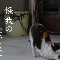 漫画が僕にプロとは何かを教えてくれた ビジネス法務のt田さん Note
