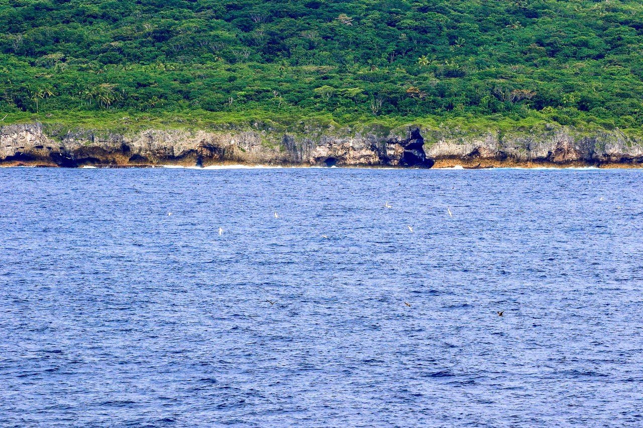 世界最小規模の独立国家「ニウエ島」｜Zenpaku