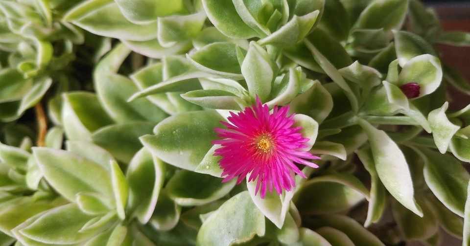 能面のような顔をして 真咲ともか Note