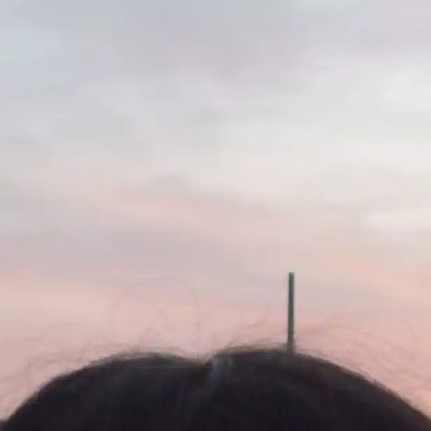 雲子