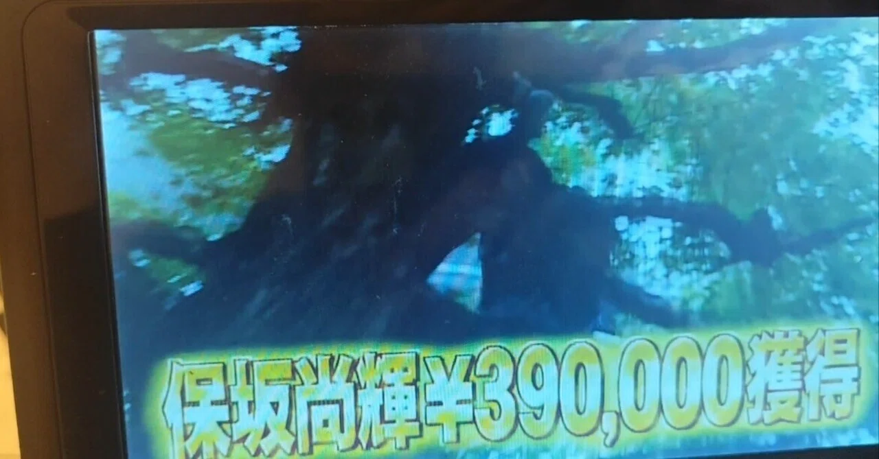逃走中で木登りは反則？ハンターの視界を欺く裏ワザと禁止ルールの真相