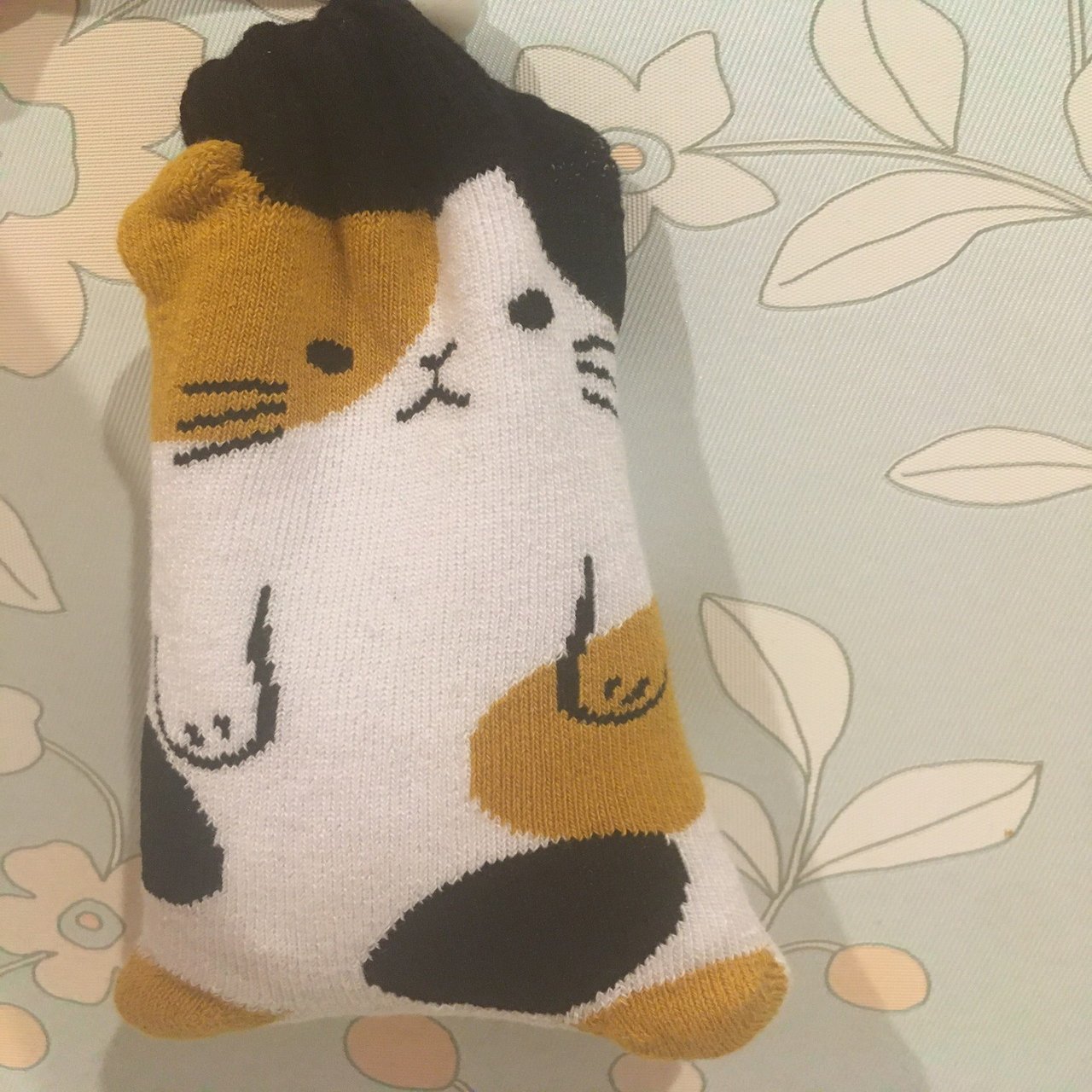 目を温めよう Ak 旅とプログラミング Note