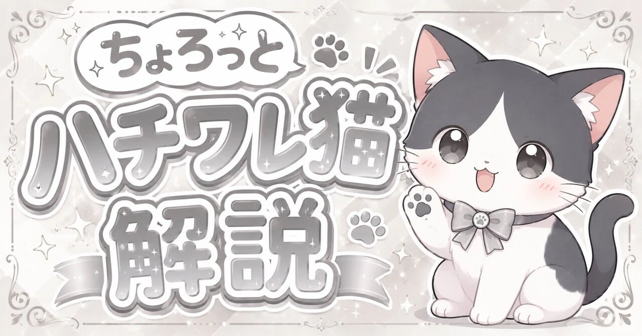 ちょろっとハチワレ猫解説🐱✨️｜鈴木一弘