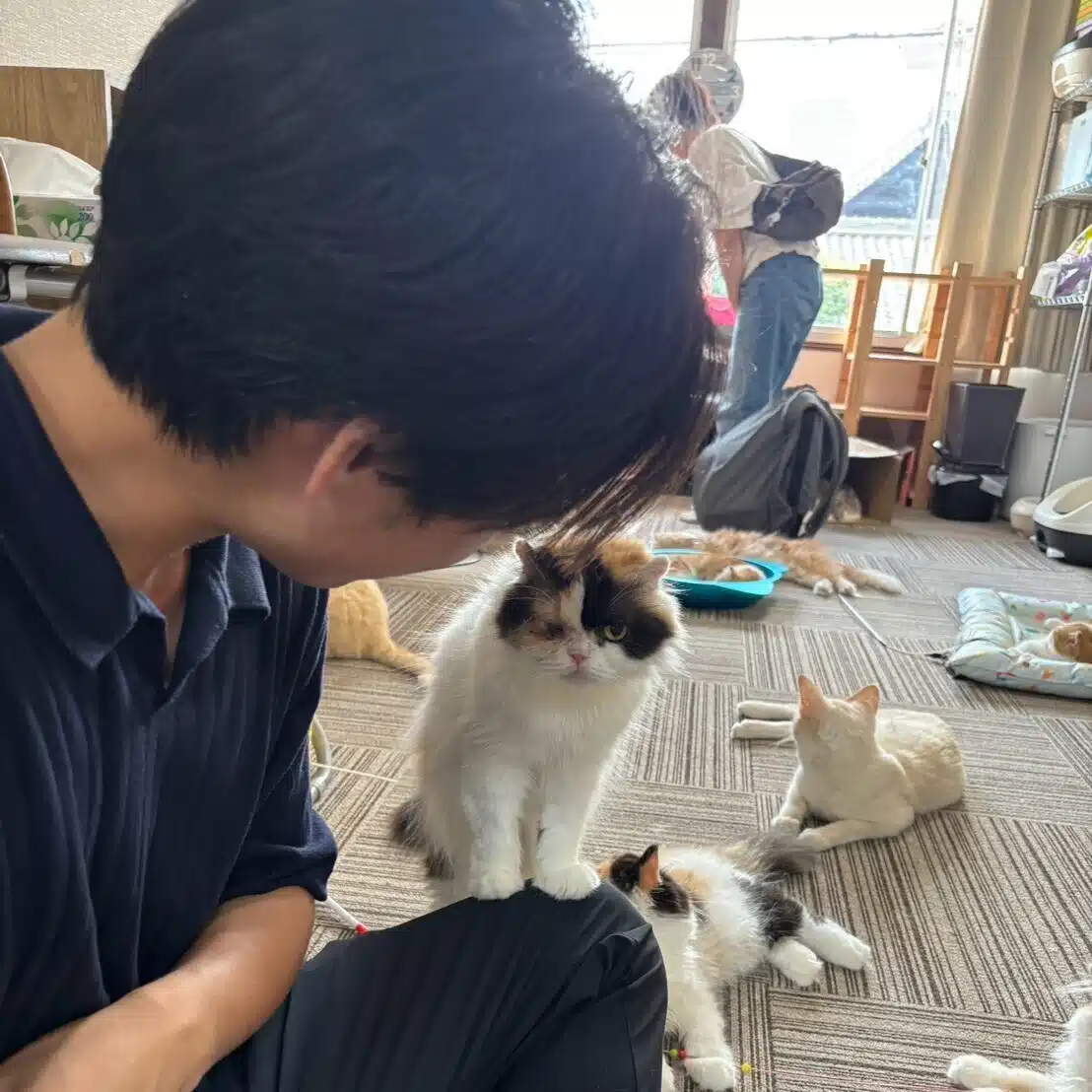 かーまた