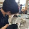 かーまた