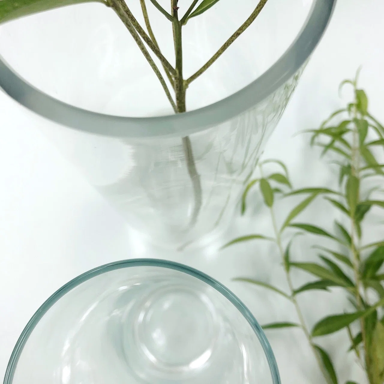 植物と水が一体となって見える花器 / shallows Crystal Vase 【公式通販】