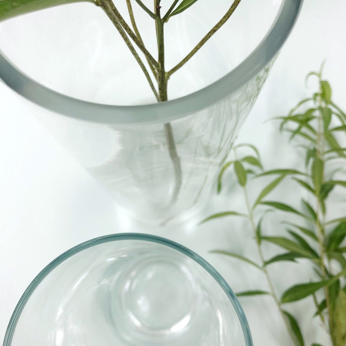 植物と水が一体となって見える花器タイプ5 植物と水が一体となって見える花器 / shallows Crystal Vase – HATCH