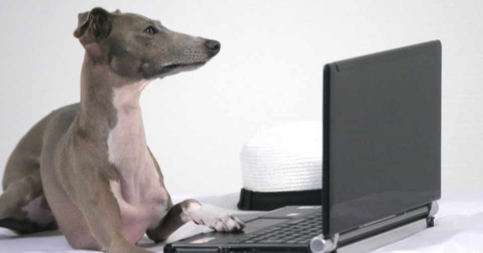 賢い犬ってしつけやすい 犬の飼い主サポートのplam Note