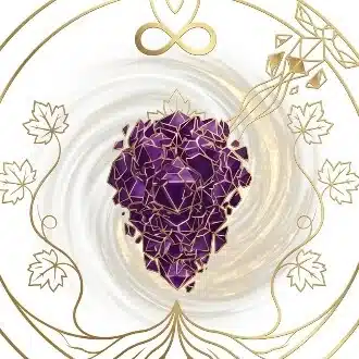 🍇わの.ぶどう┃一粒のちから