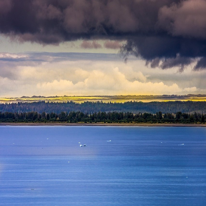 アラスカの ハバード氷河 Zenpaku Note