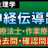 解剖生理学 口腔 確認問題 理学療法士 作業療法士 理学療法士作業療法士 国家試験攻略note 西島紘平 Note
