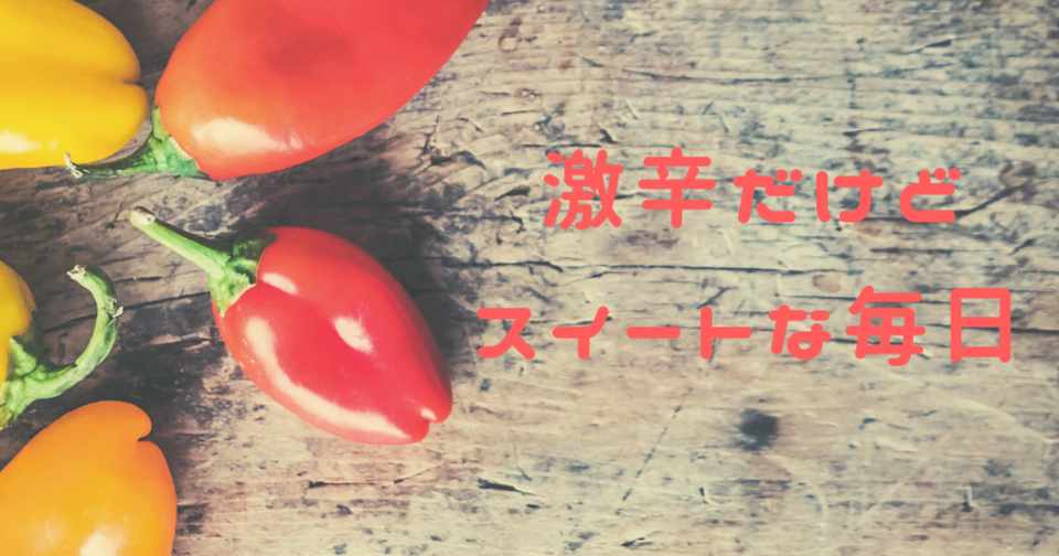激辛だけどスイートな毎日 Sion Note