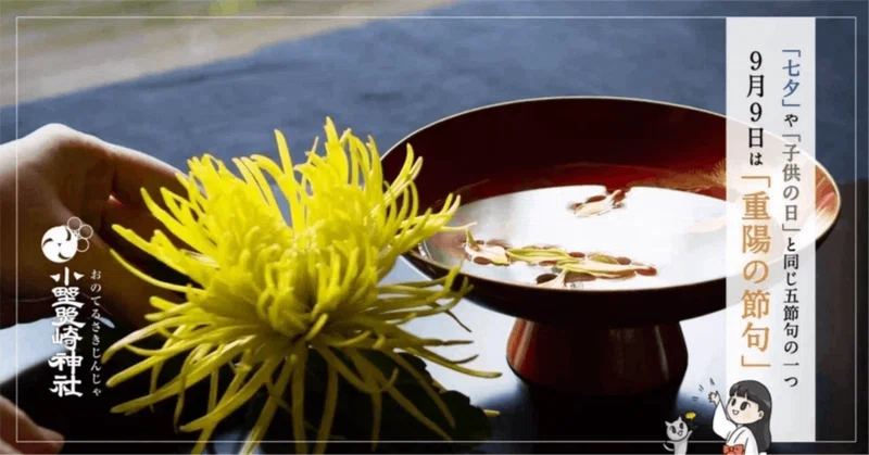 9月9日は菊づくし「重陽の節句」