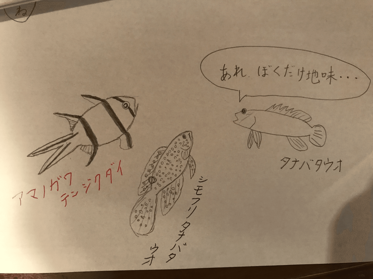 絵心ないわりには会心の出来 釣り 山阿呆の大学生 Note